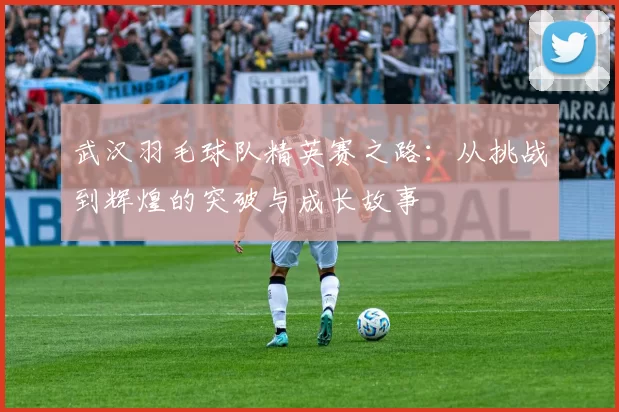 武汉羽毛球队精英赛之路：从挑战到辉煌的突破与成长故事
