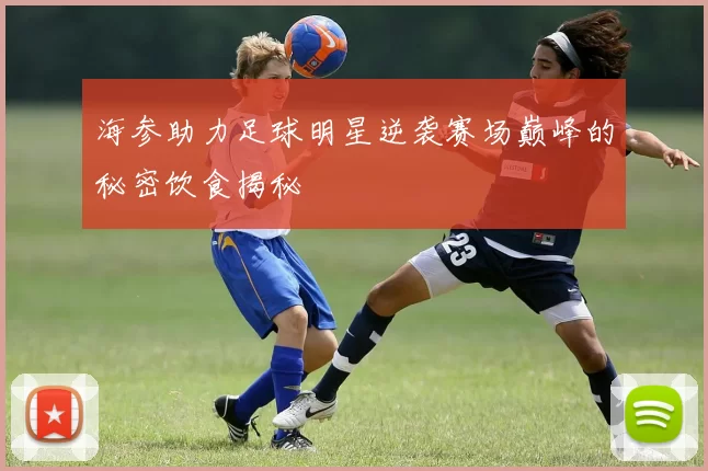 海参助力足球明星逆袭赛场巅峰的秘密饮食揭秘