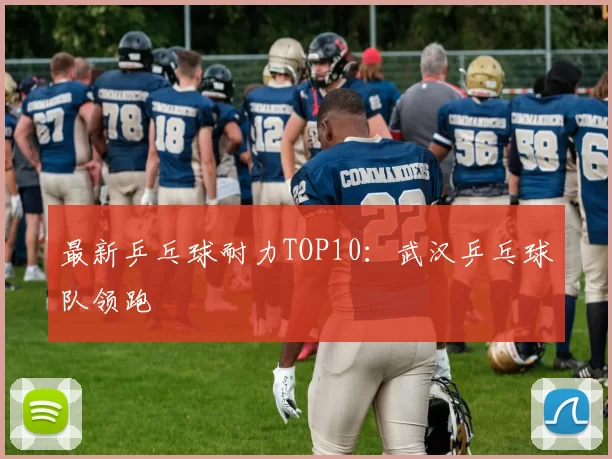 最新乒乓球耐力TOP10：武汉乒乓球队领跑