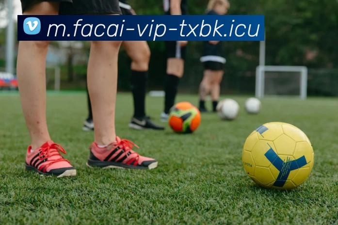 华体会体育品牌故事