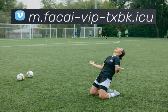 华体会体育服务体系